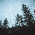 Waarom ruikt regen anders in de stad dan op het platteland?