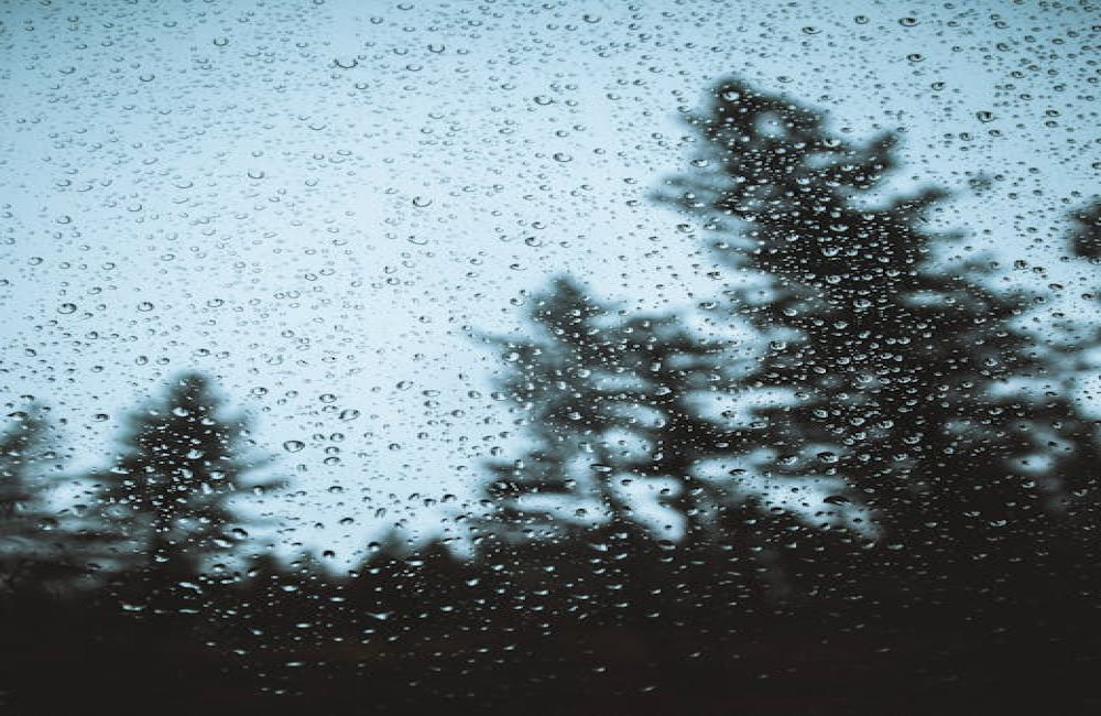 Waarom ruikt regen anders in de stad dan op het platteland?