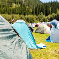 Welke Nederlandse campings zijn huisdiervriendelijk en goed beoordeeld in 2025?