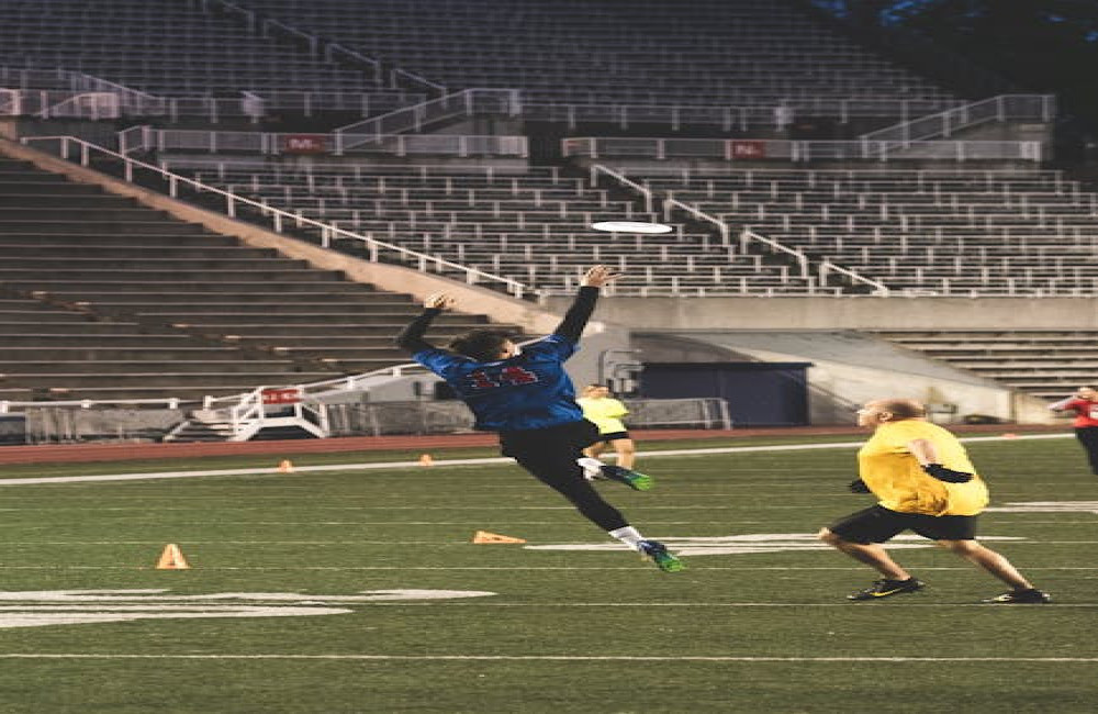 Wat zijn de leukste disc golf banen in Nederland voor beginners