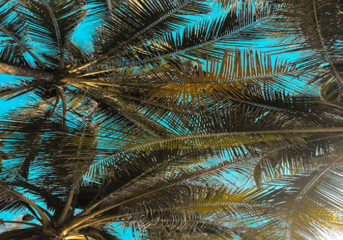 Wat neem je mee naar een bungalowpark? Dit zijn de essentials voor jouw vakantie