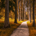Hoe laat wordt het eind oktober donker in de Eifel en hoe plan je je wandeling?
