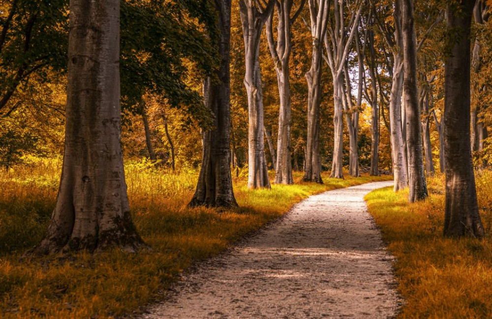 Hoe laat wordt het eind oktober donker in de Eifel en hoe plan je je wandeling?