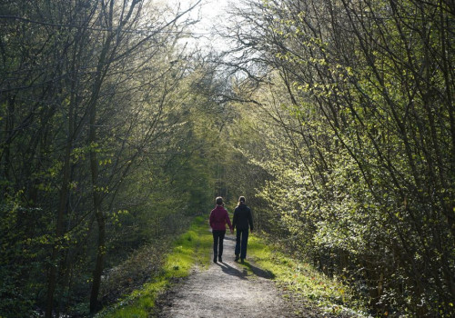 Van dagwandeling naar wandelvakantie: zo bereid je een meerdaags avontuur voor