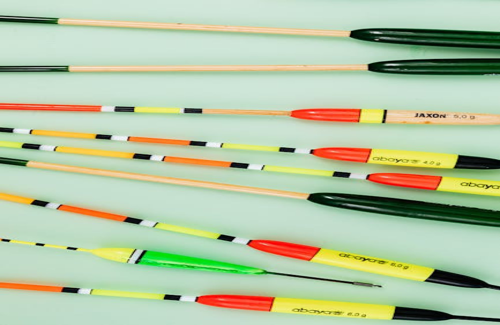 Welke visvergunning heb je nodig om te mogen vissen in Nederland