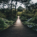 Wat is de rustigste tijd om naar de Veluwe op vakantie te gaan?