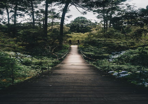 Wat is de rustigste tijd om naar de Veluwe op vakantie te gaan?