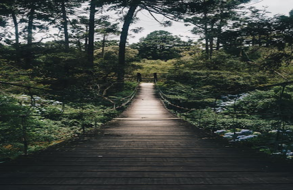 Wat is de rustigste tijd om naar de Veluwe op vakantie te gaan?