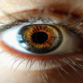 Wat betekent synesthesie en hoe beïnvloedt het de waarneming?