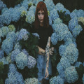 Waarom je hortensia geen bloemen geeft en wat je eraan kunt doen