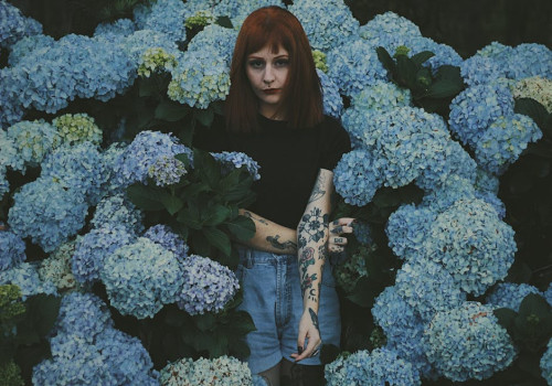 Waarom je hortensia geen bloemen geeft en wat je eraan kunt doen