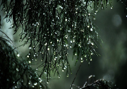 Wat te doen bij regen op vakantie in Nederland?
